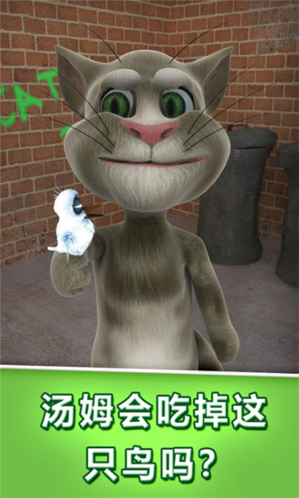 会说话的汤姆猫