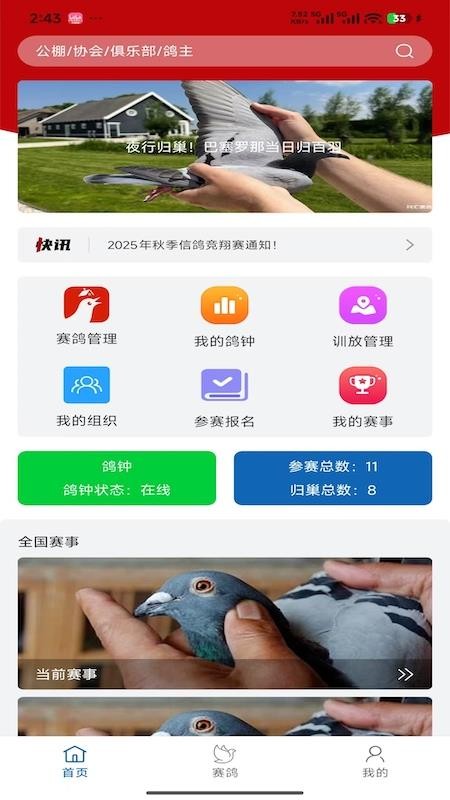 科汇赛鸽