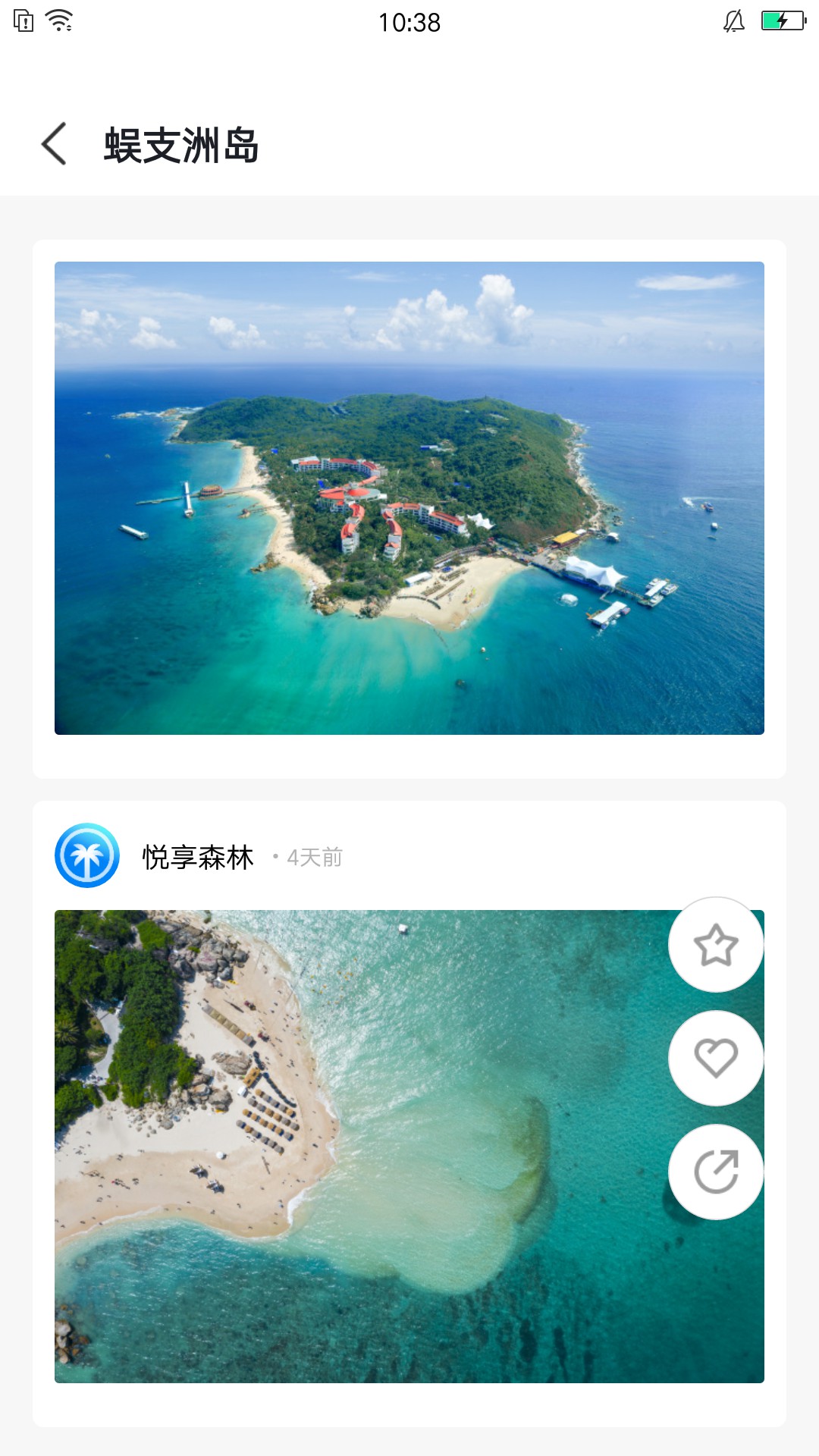 悦享森林图1