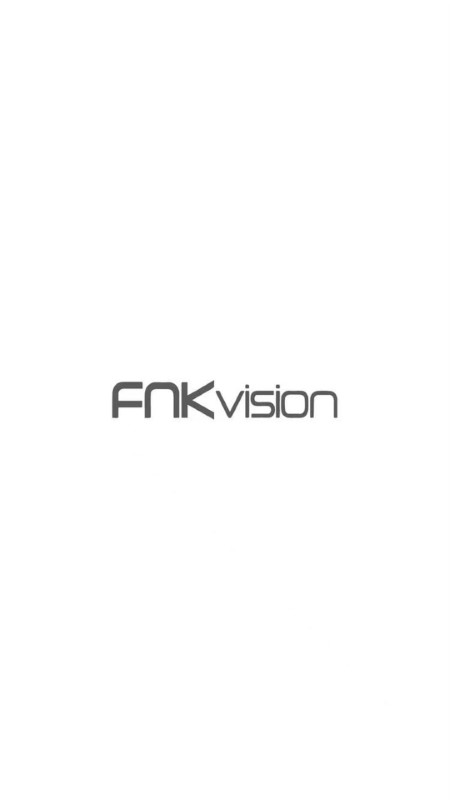 fnkvision监控app图4
