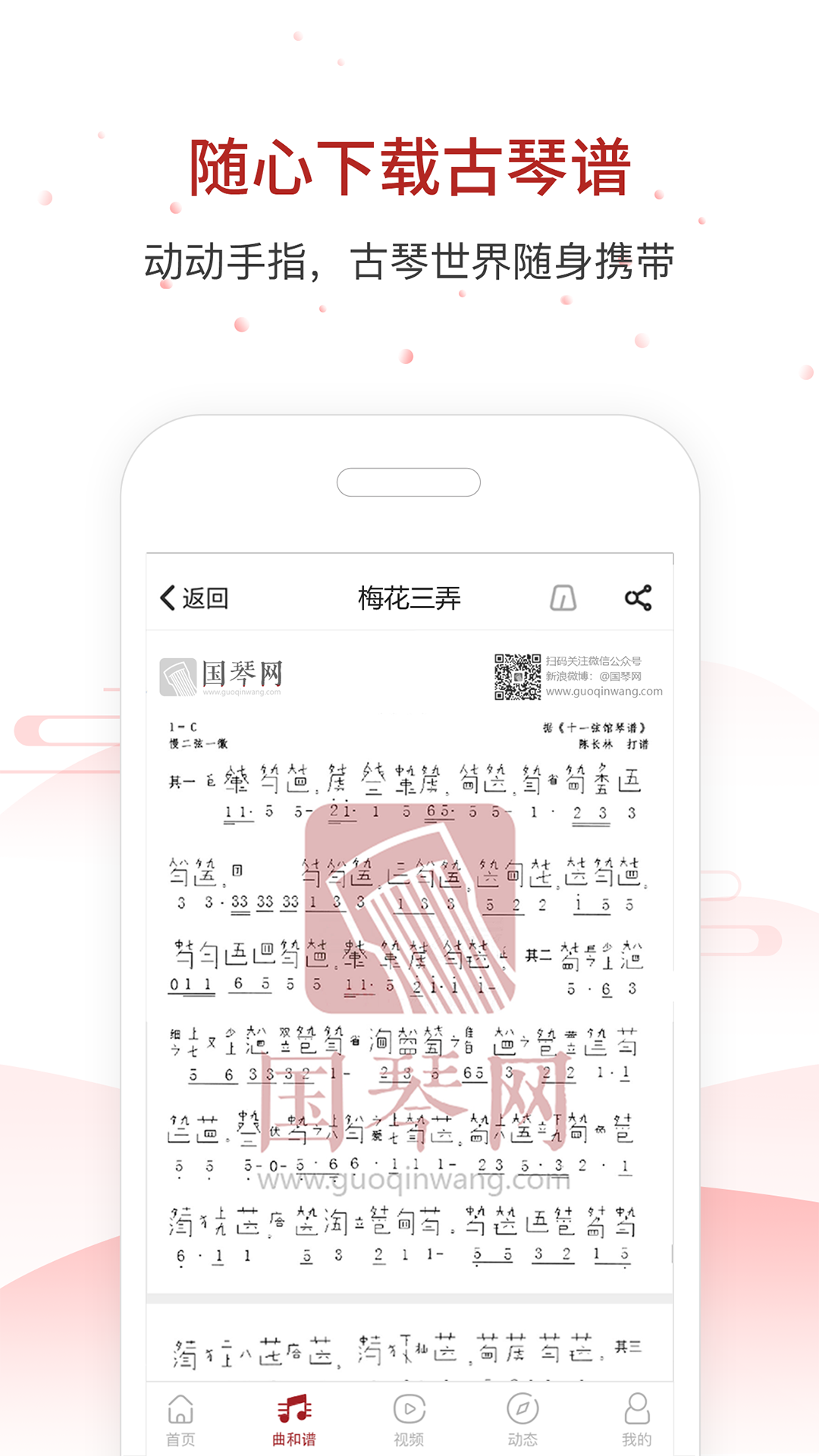 国琴网图3