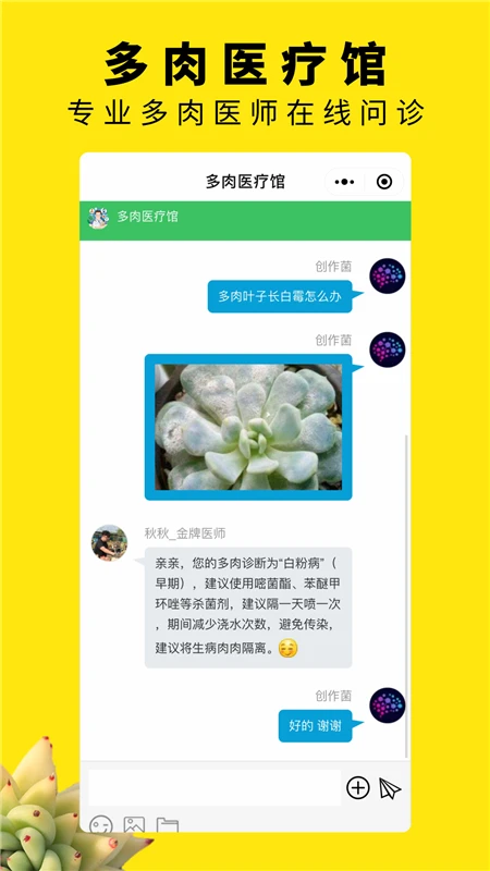 多肉圈