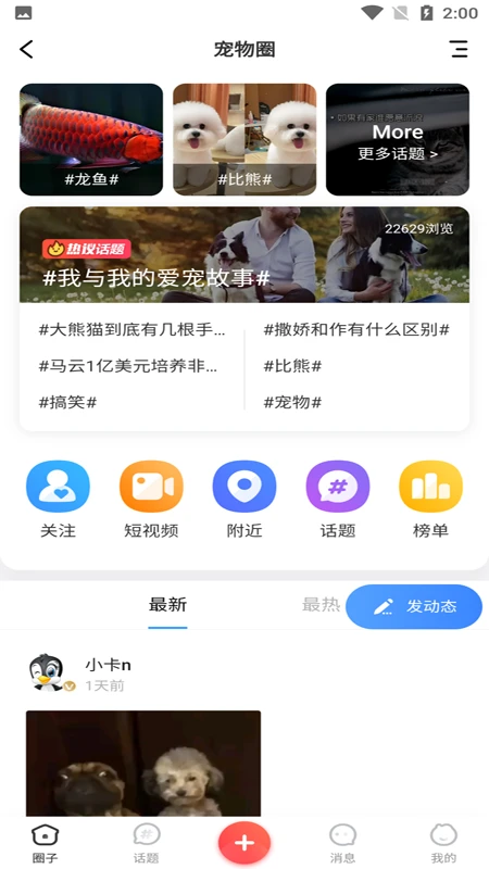 同城宠物图3