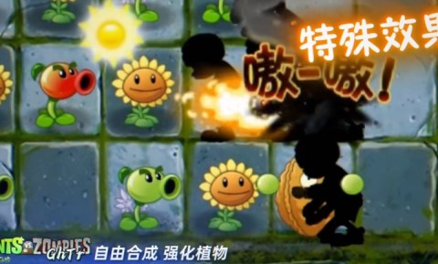 植物大战僵尸GhTr安装器