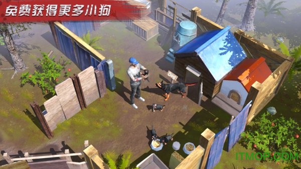 明日传奇一人一狗(Z Shelter Survival)图4