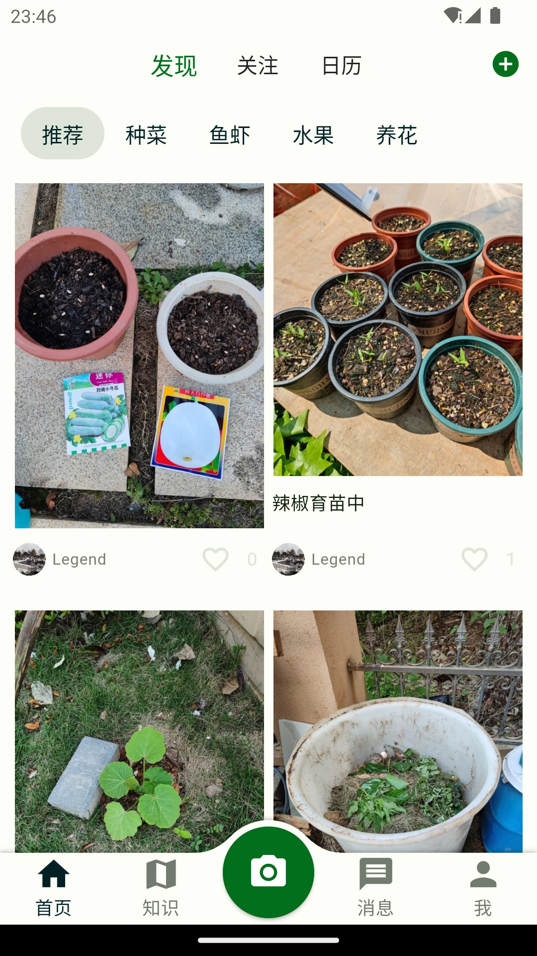 鱼菜记图1