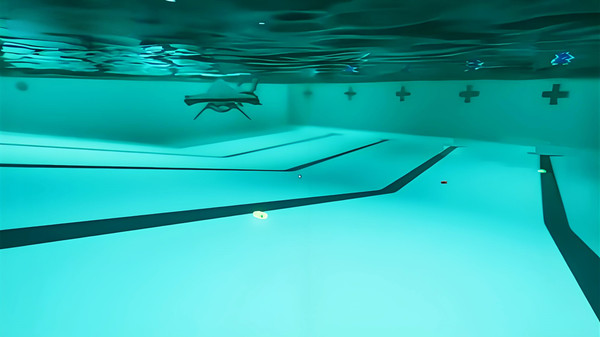 恐怖鲨鱼游泳池图1