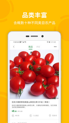 菏菜壹号图2