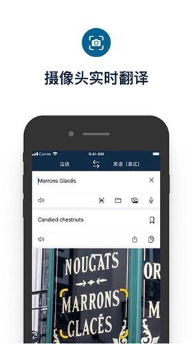 DeepL 安卓版v24.14.1图5