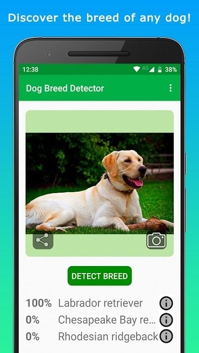 doggy软件图2