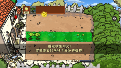 PvZ 噩梦版随机版图2