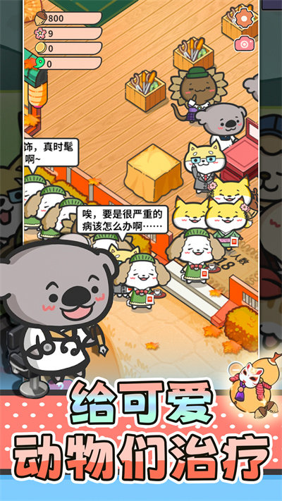 猫舍与动物之友图4