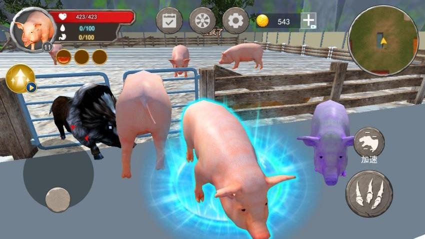 小猪模拟器1图4