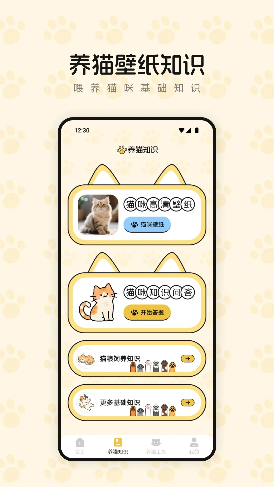 治愈小猫咪