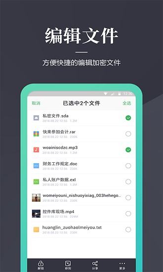 文件加密狗
