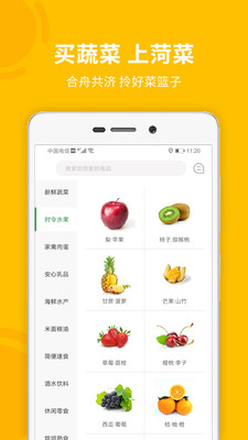 菏菜壹号图4