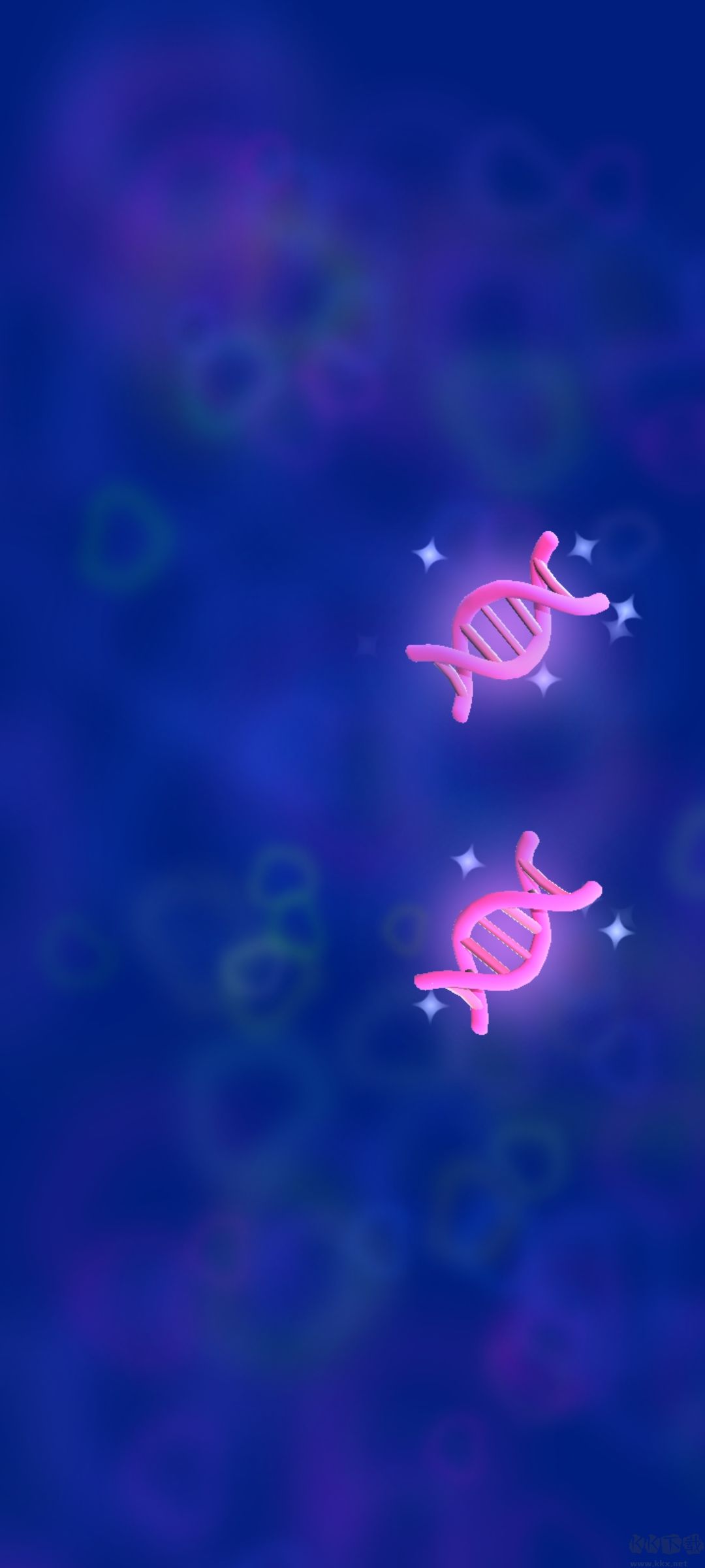 Evolution Merge安装器图2