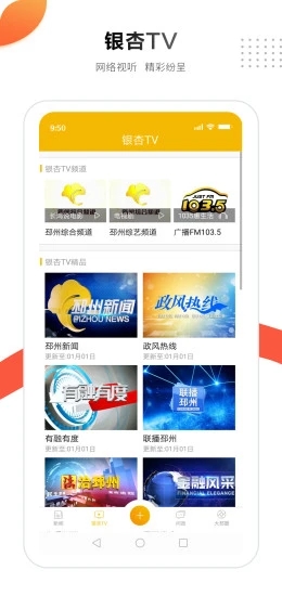 邳州银杏甲天下图1