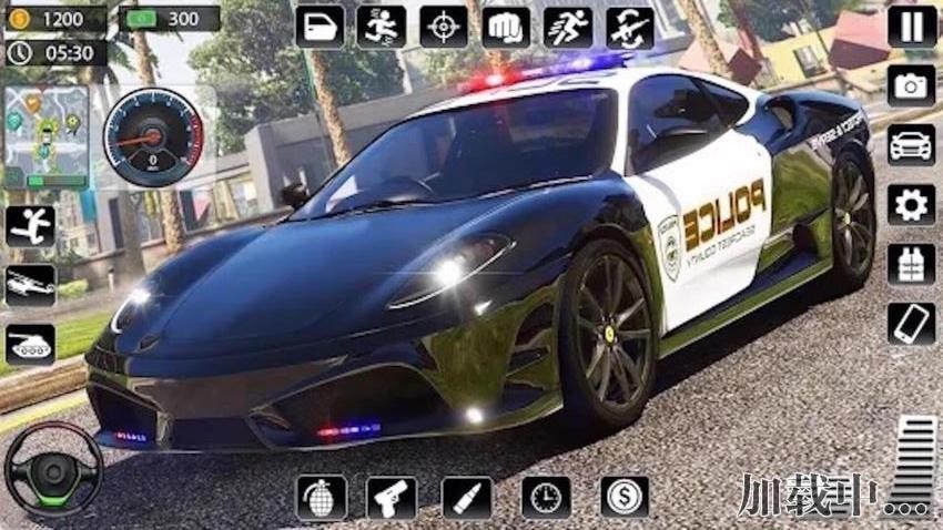 警车追捕图3