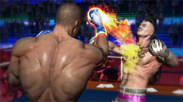 Punch Boxing安装器图2
