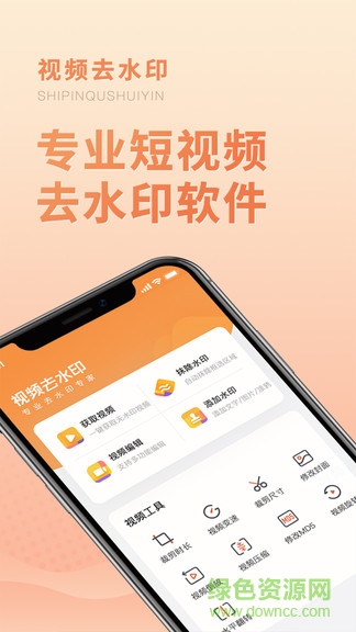 视频去水印图1