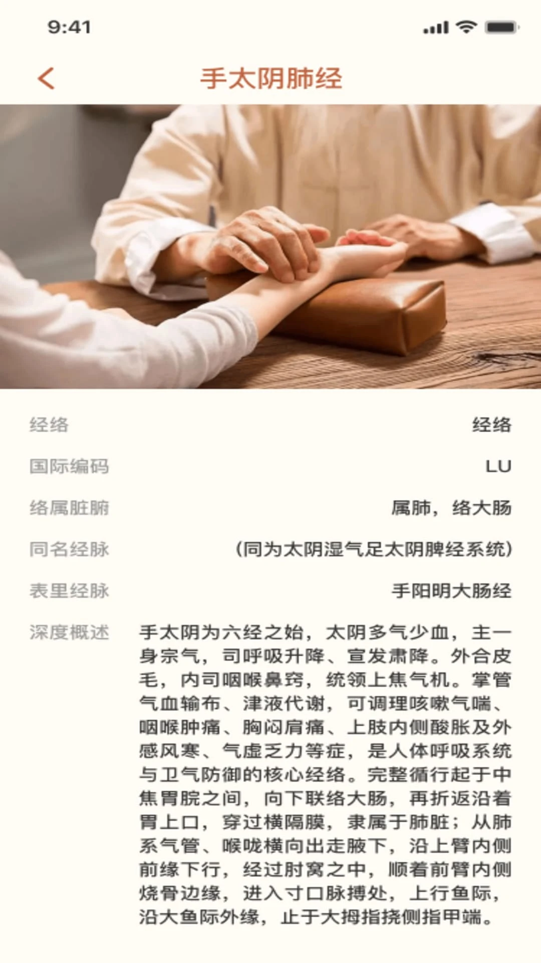 穴位经络宝典