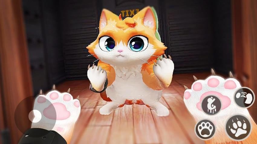 猫咪和奶奶图3