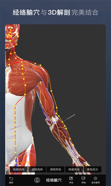维萨里3d解剖安卓版 安卓版v6.8.2图1