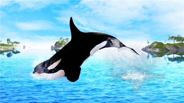 虎鲸模拟器官方版(The Killer Whale)图4