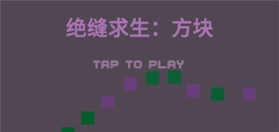 绝缝求生：方块