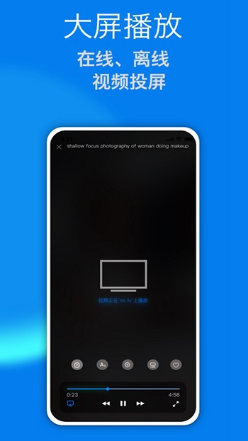 菊花视频图2