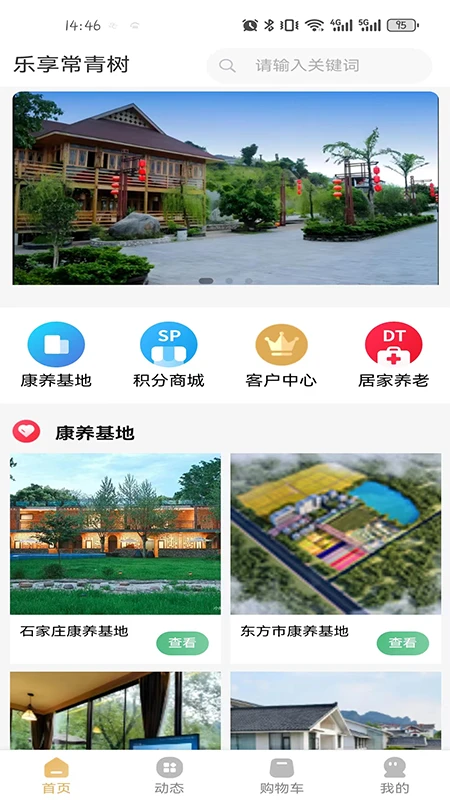 乐享常青树图1