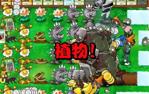 植物大战僵尸杂交版直装版图3