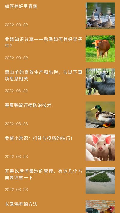 田园小院子图3