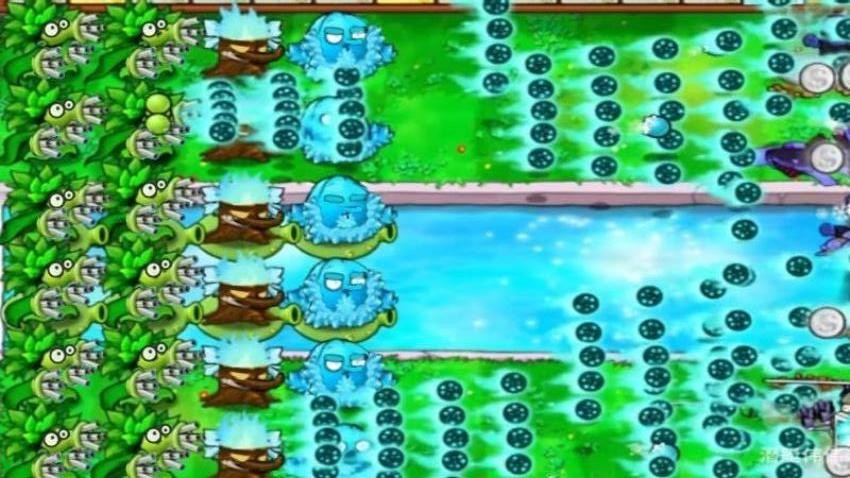 杂交植物图1