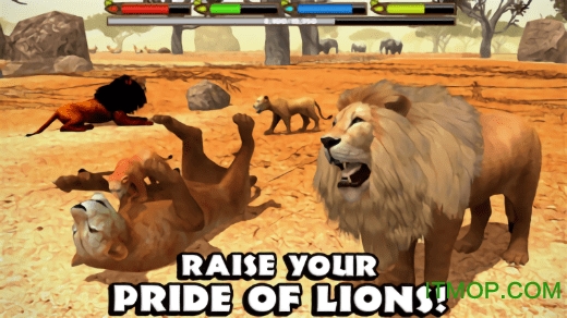 终极狮子模拟无限经验图2