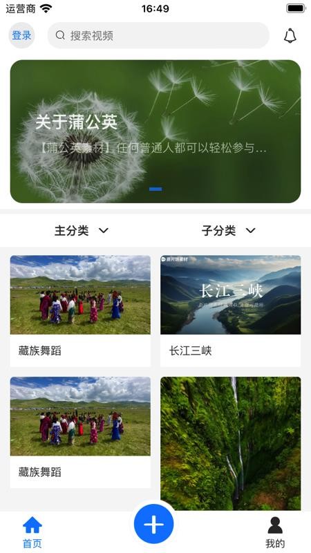 蒲公英素材 蒲公英素材