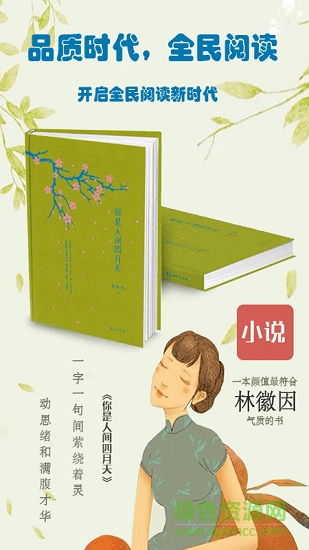 小说阅读王图1