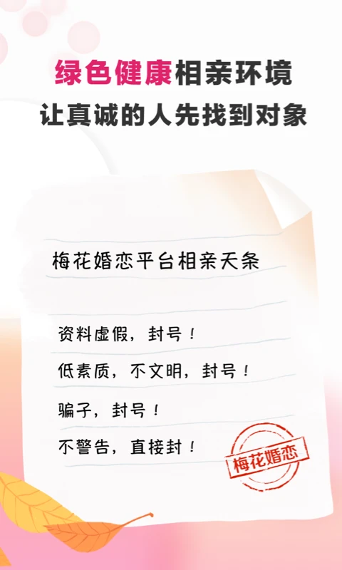 梅花再婚相亲图5