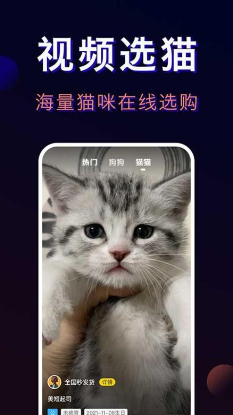 宠物宝-一站式宠物服务平台图2