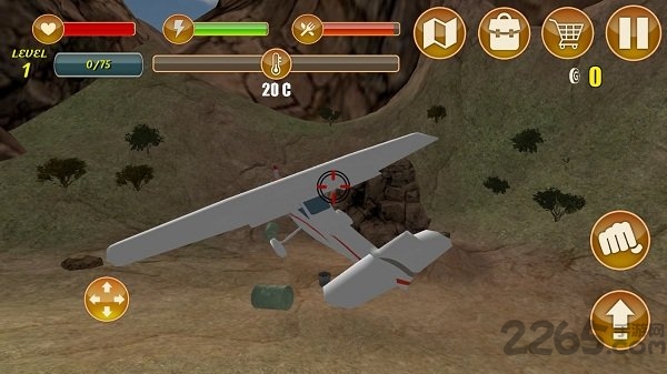 孤岛生存 孤岛生存