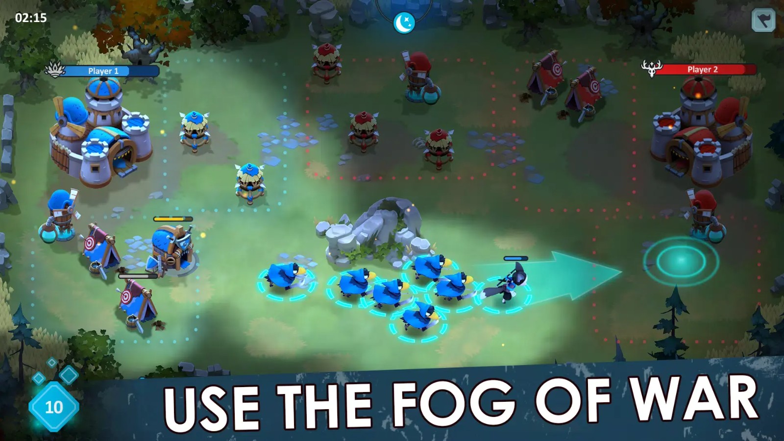 野生森林 野生森林