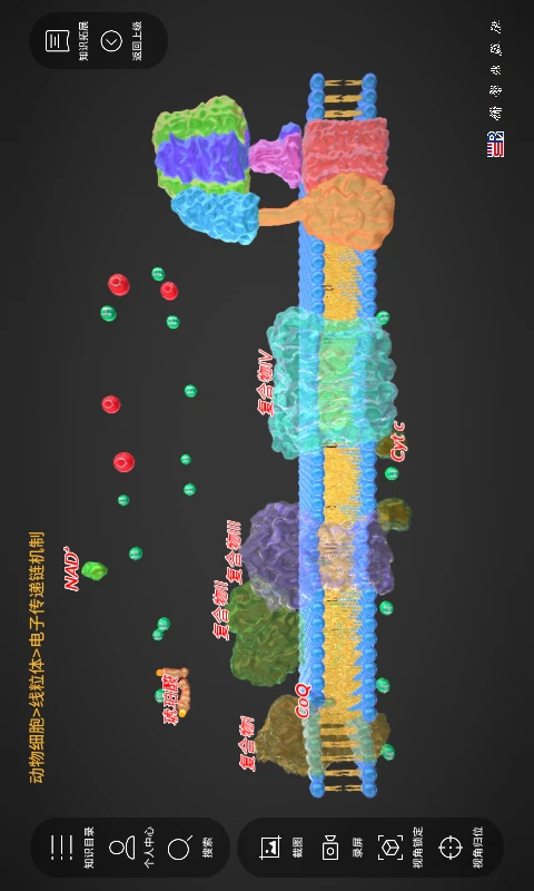 细胞生物学3D资源库系统图1