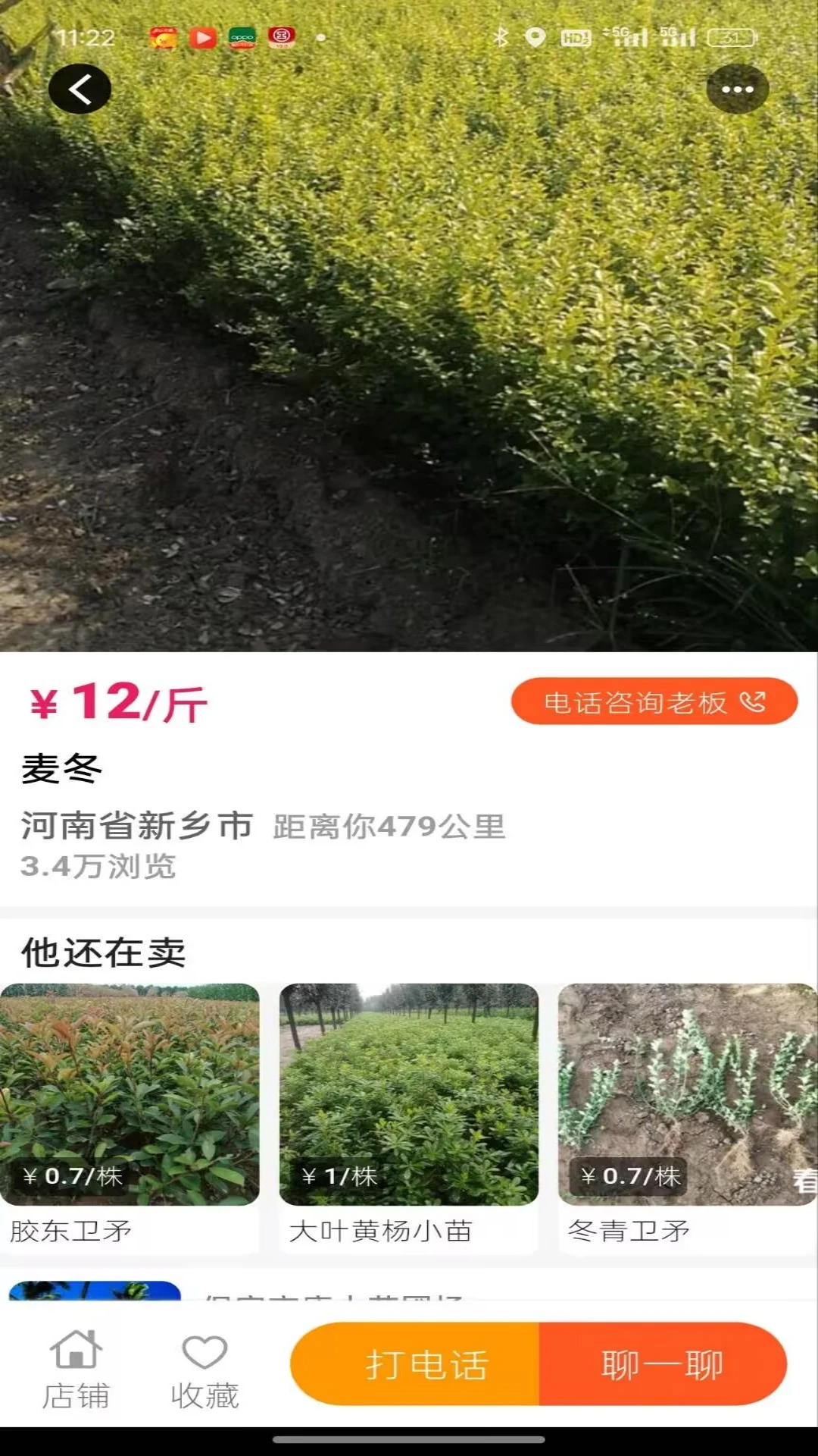 春种图4
