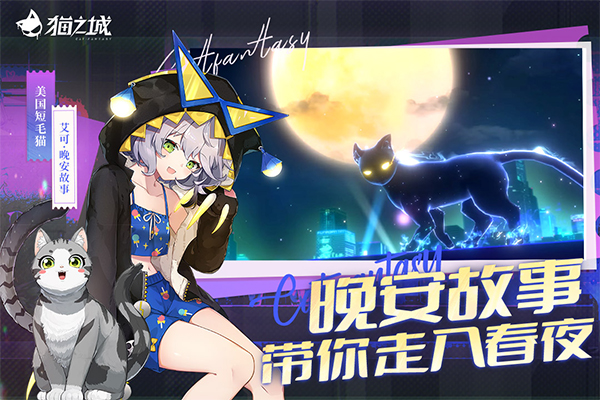 猫之城