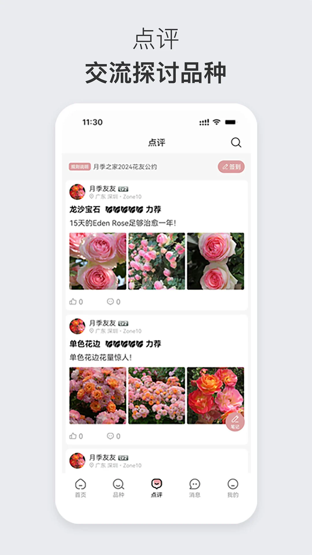 月季之家图3