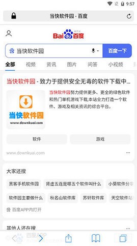 Safari汉化安卓版图4