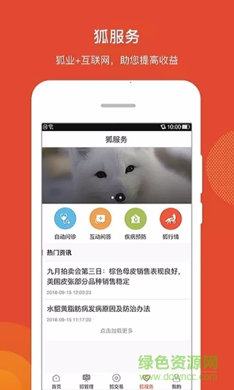 狐联网图4