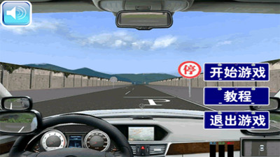真实驾驶模拟