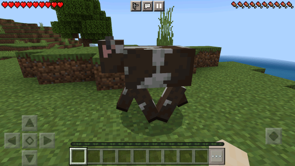 我的世界op指令图4